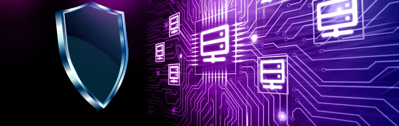 SSH Capabilities: Secure Shell, Safe Environment for Data Transmitting